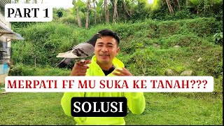 PART 1 ||KUPAS TUNTAS CARA ATASI MERPATI FREEFLY ERROR