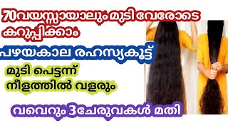 😱ഇനി dye വേണ്ട നര മാറാൻ ഈ oil മാത്രം മതി💯#fasthairgrowthoil#chembarathipoo oil#priyashibu