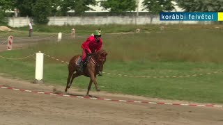 2024.05.17. - Jövő szombaton több újdonsággal is várja a látogatókat a Vajdasági Vágta