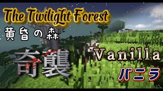 🔴Minecraft 【バニラ＆黄昏の森】久々の黄昏！！雑談しながらやります