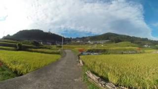 【360°】長崎県 大中尾棚田【VR】