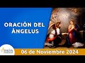 Ángelus De Hoy Miércoles 6 de noviembre 2024 l Padre Carlos Yepes I Católica I María