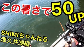 この暑さで50ＵＰだします！！　     #津久井湖  #バス釣り #SHIMIちゃんねる