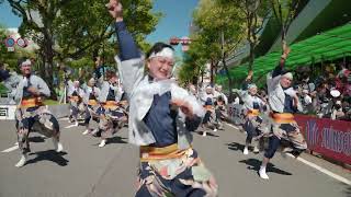 舞龍人　『一気』　2023年　高知「よさこい祭り」　追手筋南　【４Ｋ】