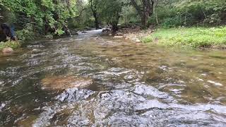 Thalayanai falls - River || vasudevanallur falls - westernghats Tamilnadu ||