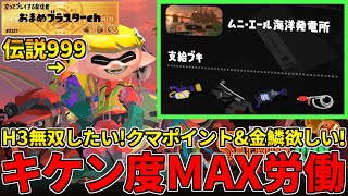 野良カンスト170回した男のサモラン！伝説999～大好きなH3でカンスト後も無双しに行く！【スプラトゥーン3/サーモンランNW】