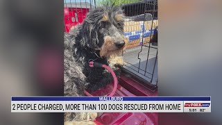 2 charged after over 100 dogs seized in Davidson County, sheriff’s office says
