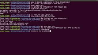 FAST Python activate and deactivate virtualenv [4K]