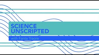 HIGHLIGHT Unscripted: Advice Every Beginner Programmer Needs to Hear