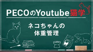 PECOのYoutube猫学～ネコちゃんの体重管理～