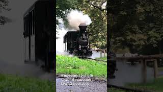 Szilvi gőzös (394,057) a Szalajka-völgyben #train #vonat #steamlocomotive #gőzmozdony #vasút