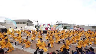 岐阜聖徳学園大学 柳 @岐聖祭(岐阜聖徳学園大学) 2018-12-02T11:39