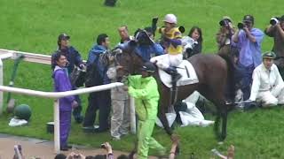 日本ダービー　優勝馬（ロジユニヴァース号）＆勝利騎手（横山典弘騎手）2009年5月31日（日）東京競馬場