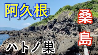 『阿久根』夏の桑島！久しぶりのハトノ巣挑戦！