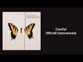 Paramore - Careful (Official Instrumental)