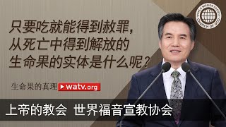 生命果的真理 [上帝的教会世界福音宣教协会, 安商洪, 母亲上帝]