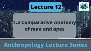 1.5 Comparative Anatomy of Man and Apes | Anthropology | Paper 1 | UPSC