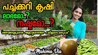 First harvesting/പച്ചക്കറിയുടെ ആദ്യത്തെ വിളവെടുപ്പ്/ പച്ചക്കറി കൃഷി ലാഭമോ/Mahima Dia/MalayalamVlog