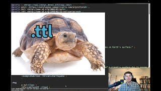 Turtle Syntax