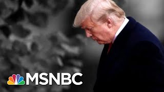 Democrat: It's Time To Get The Facts About Trump Before The American People | The 11th Hour | MSNBC