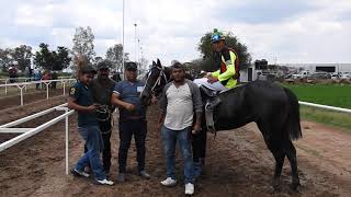 Carril El 4 🐎 13 de junio de 2021