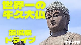 【茨城旅】手のひらに奈良の大仏🌟マイナー大仏はスペックの高い世界一の大仏様だった🌟