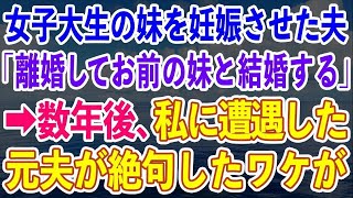 【スカッとする話】不妊の私を捨て女子大生の妹を妊娠させた夫「離婚してお前の妹と結婚する」→数年後、私に遭遇した元夫が絶句したワケが   【修羅場】【総集編】