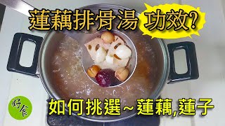 蓮藕排骨湯~如何挑選蓮藕和蓮子[好食研究所]烹飪廚藝