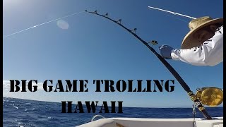 Trolling for Big Game Fish Hawaii | Waianae Coast | Yellowfin Tuna | Marlin