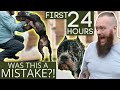 First 24 Hours With A Completely Untrained Dog!