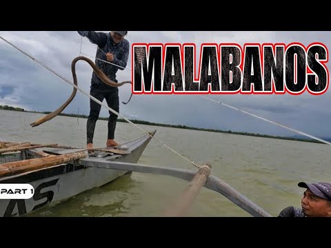 P1-MALABANOS HULI SA KITANG – EP1415