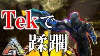 TEKで蹂躙！ラグナロク ジャングル洞窟ソロ攻略【ARK-P鯖 #109】