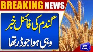 BREAKING! Important News Regarding Wheat | Dunya News