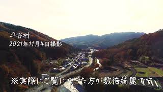 ドローンで撮影【平谷村の紅葉】