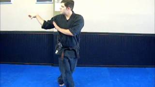 Shaolin Kempo - Master's Blocking System