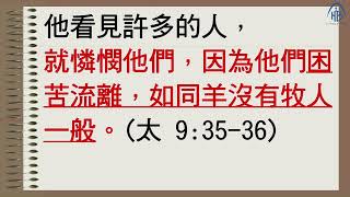 馬太福音16:13-20 | 2023年8月13日「耶穌建造的教會」- 梁彩燕牧師