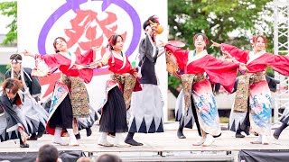 [4K] 心笑　犬山踊芸祭 2024 日曜日 (中央)