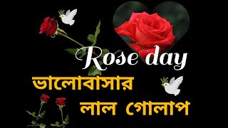 রোজ ডে ||হ্যাপি রোজ ডে|| Happy rose day bangla || রোজ ডে sms||লাল গোলাপের শুভেচ্ছা || লাল গোলাপ