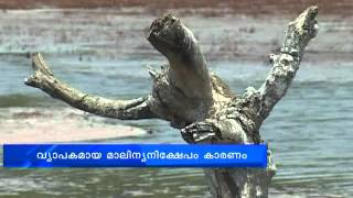 Illegal garbage deposits keeps birds away from Kannur Munderi bird sanctuary,മുണ്ടേരി പക്ഷിസങ്കേതം