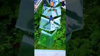 Glass Bridge Prank Gone Wild! 😱 #GlassBridge #Prank #Travel