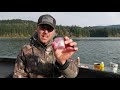 the best baits for kokanee fishing from a pro.