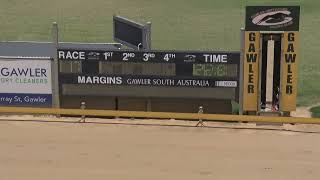 Gawler-10012025-Race-7