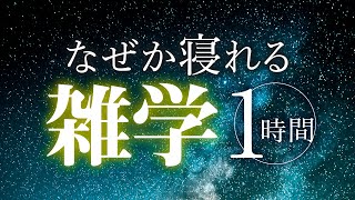 【睡眠導入】なぜか寝れる雑学1時間【合成音声】