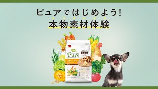 コンボ ピュア「本物素材体験、はじめよう。」