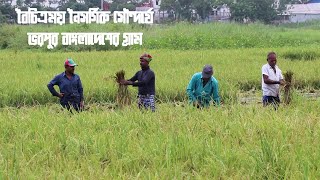 বৈচিত্রময় নৈসর্গিক সৌন্দর্যে ভরপুর বাংলাদেশের গ্রাম || গ্রাম বাংলার মনোমুগ্ধকর প্রাকৃতিক সৌন্দর্য