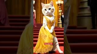 Cute cat dressing #cat #catlover #cute @dojacat @stampycat @ChefCatChangAn_