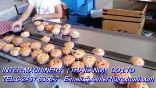 เครื่องบรรจุขนมปัง เครื่องห่อแนวนอน \u0026เครื่องบรรจุแนวนอน