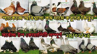 প্যাকেজে অবিশ্বাস্য কমদামে ফেন্সি কবুতর কিনুন নিহাদ ভাইয়ের | কবুতর | pigeon video | fancy pigeon |