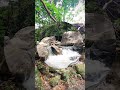 kallar meenmutty waterfalls meenmutty waterfall trivandrum shortsvideo