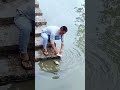 The process of washing fish in the river